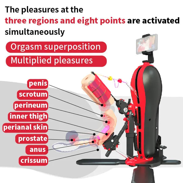 COMFY Men Sex Toy Automatic Masturbator & Prostate Massager Fun Combo